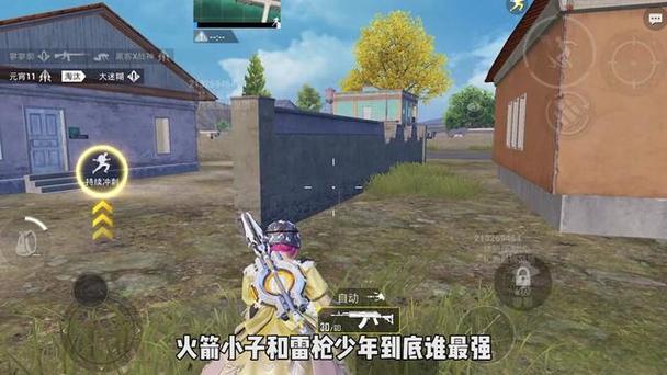 和平精英免费挂 - 无门槛稳定透视辅助